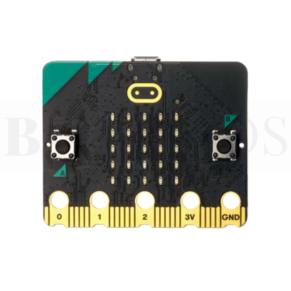BBC micro:bit Development Board